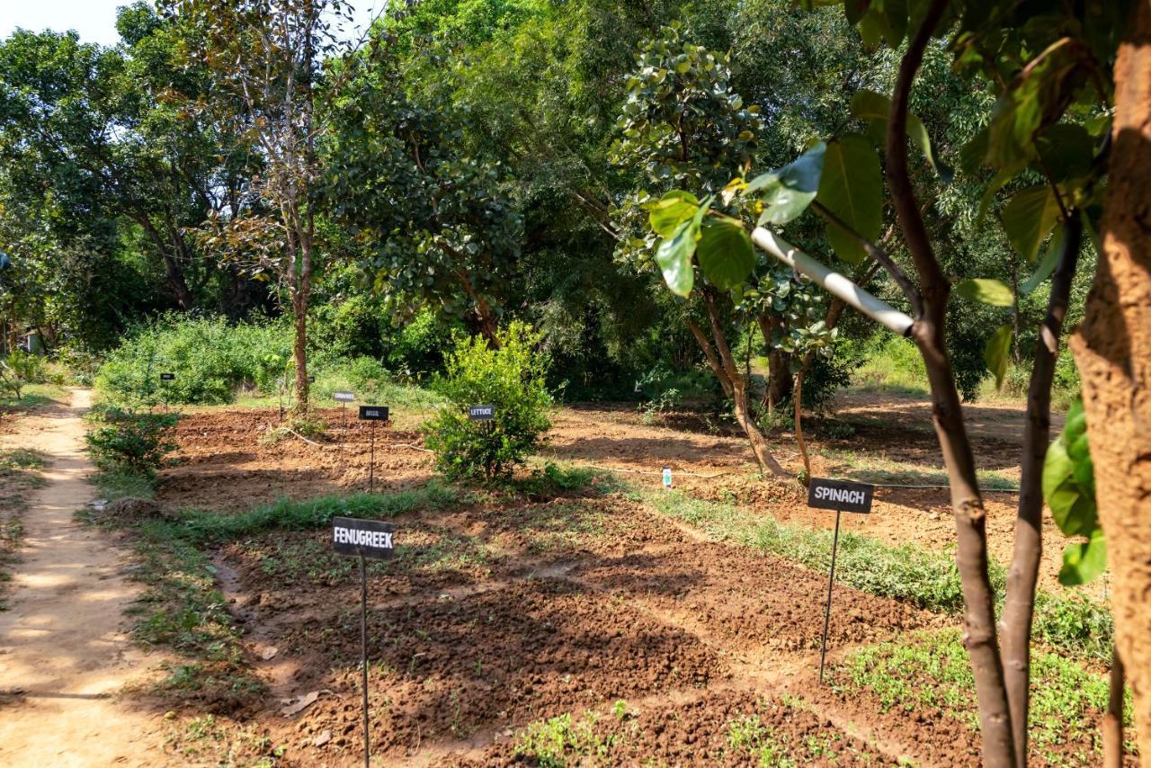 Kanha Jungle Camp Extérieur photo