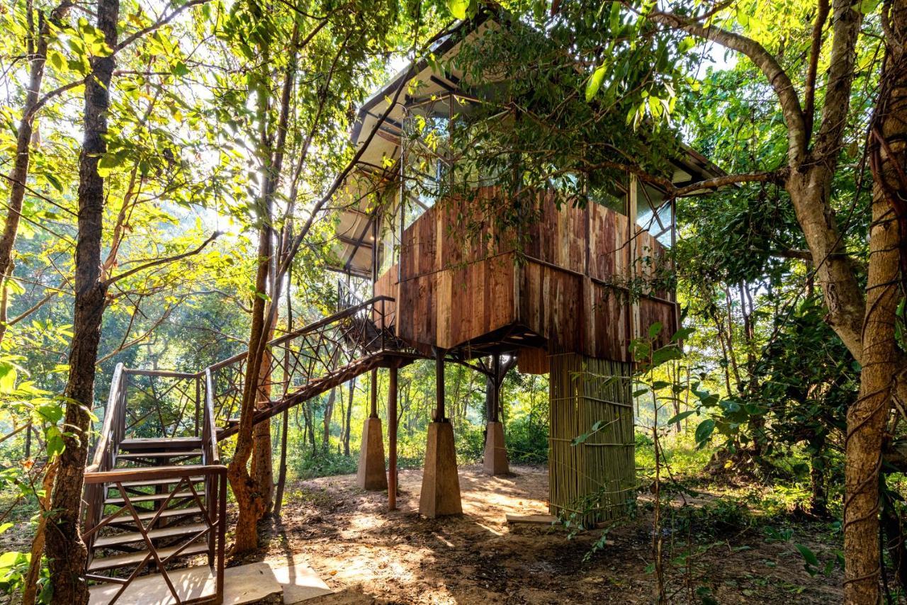 Kanha Jungle Camp Extérieur photo