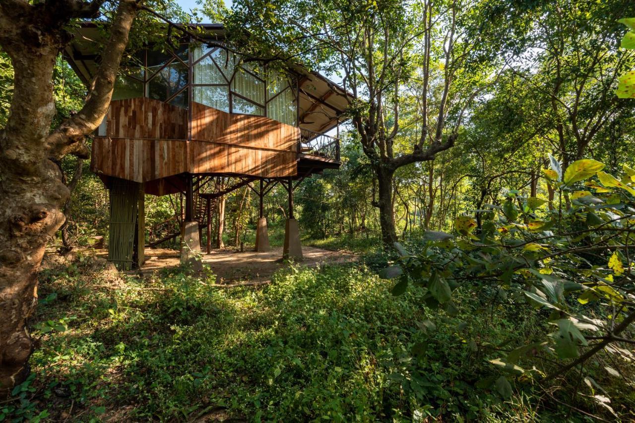 Kanha Jungle Camp Extérieur photo